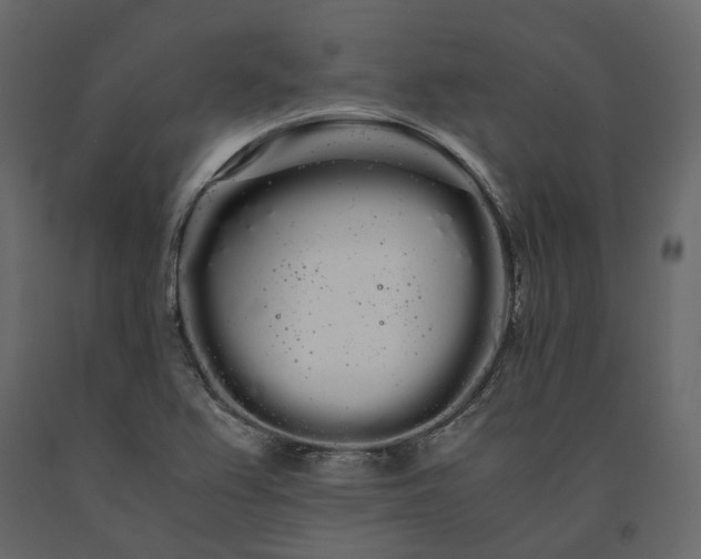X0000091241367200708231707