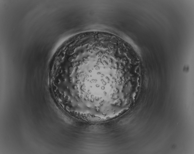X0000091241368200708231707