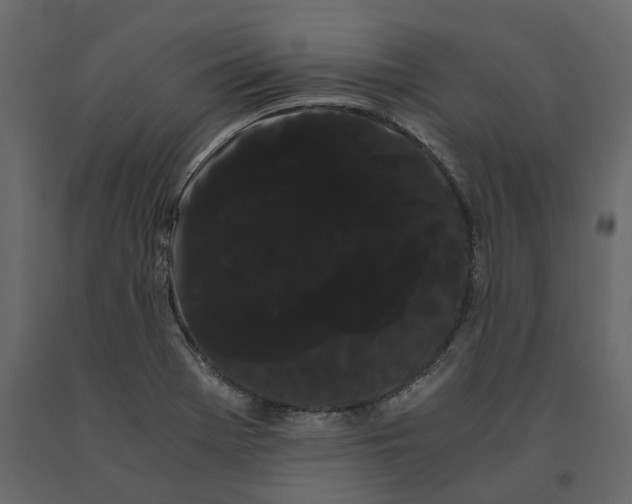 X0000091241369200708231707