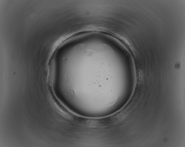 X0000091241371200708231707