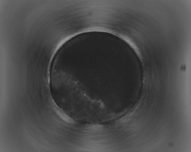 X0000091241372200708231707