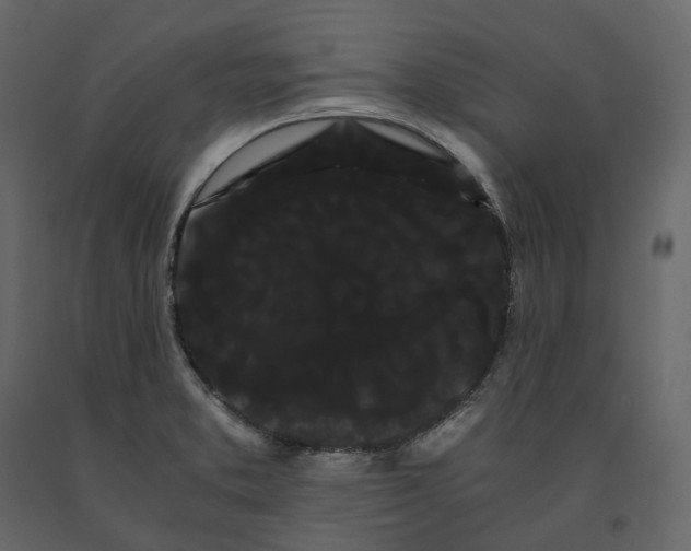 X0000091241373200708231707