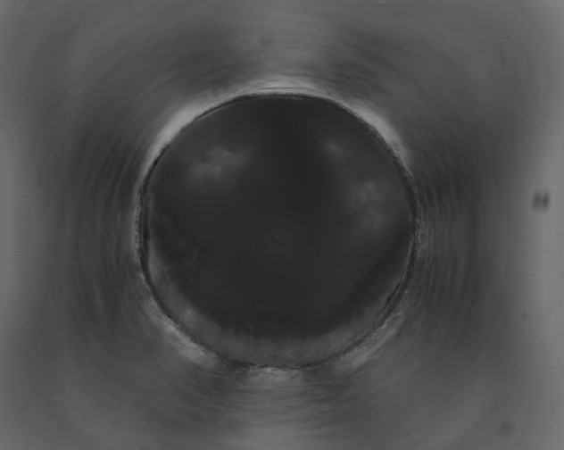 X0000091241374200708231707