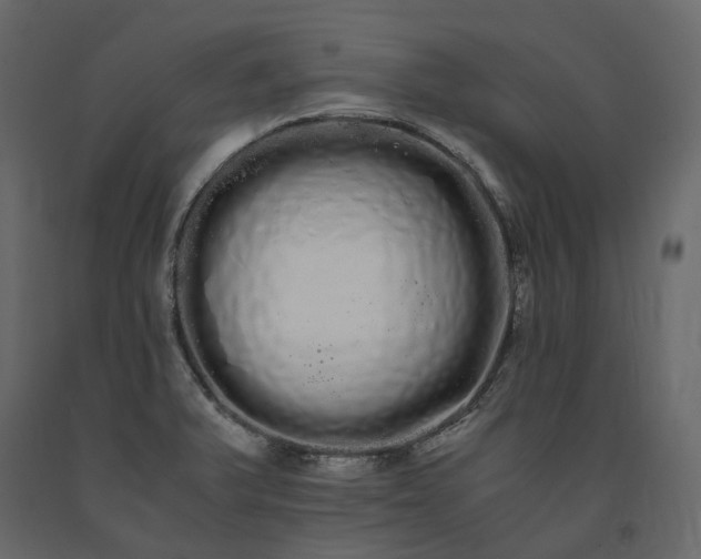 X0000091241375200708231707