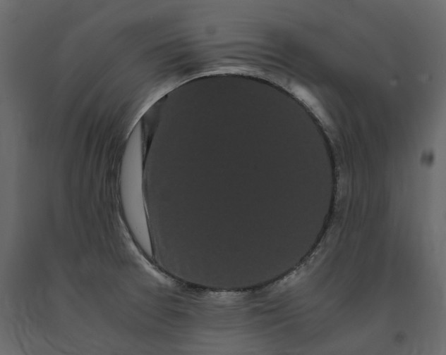 X0000091241377200708231707