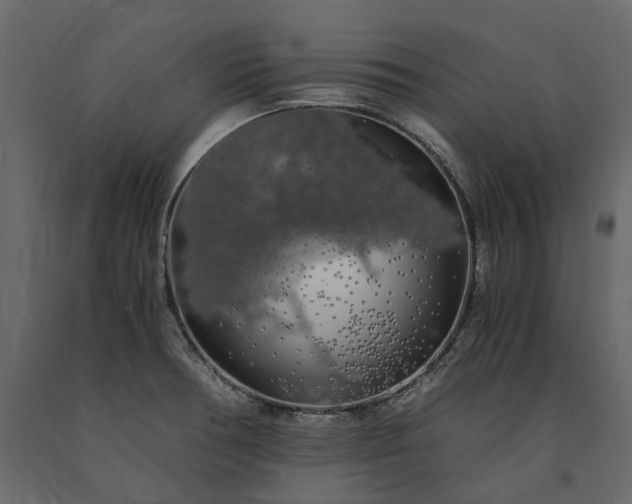 X0000091241378200708231707