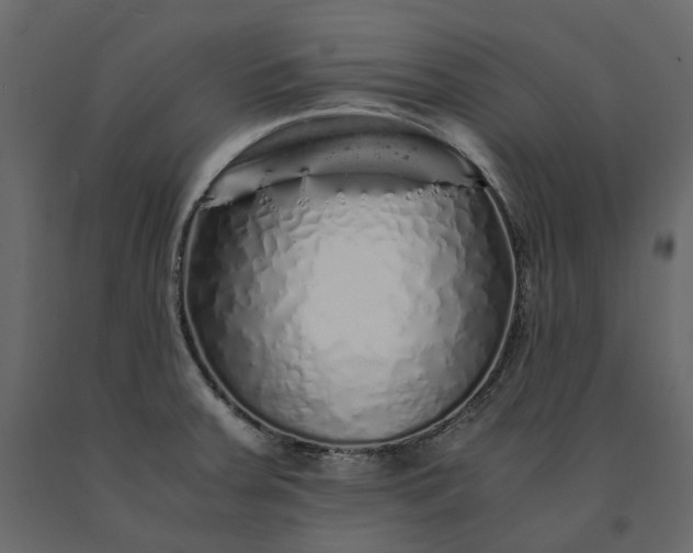 X0000091241379200708231707