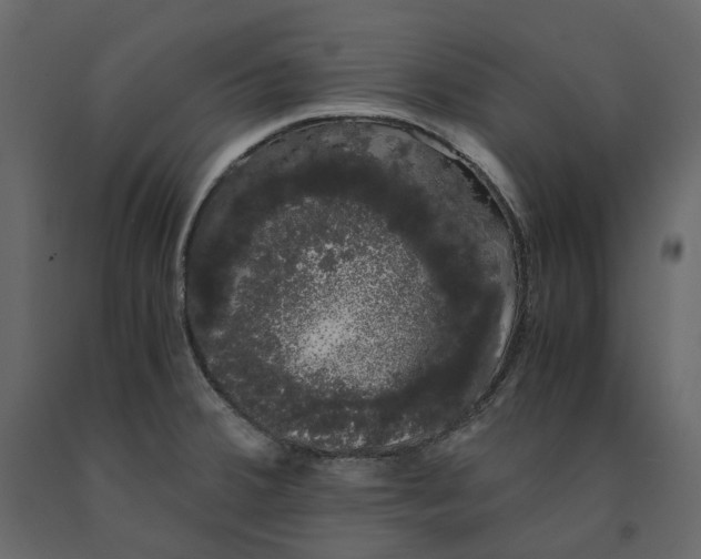 X0000091241380200708231707
