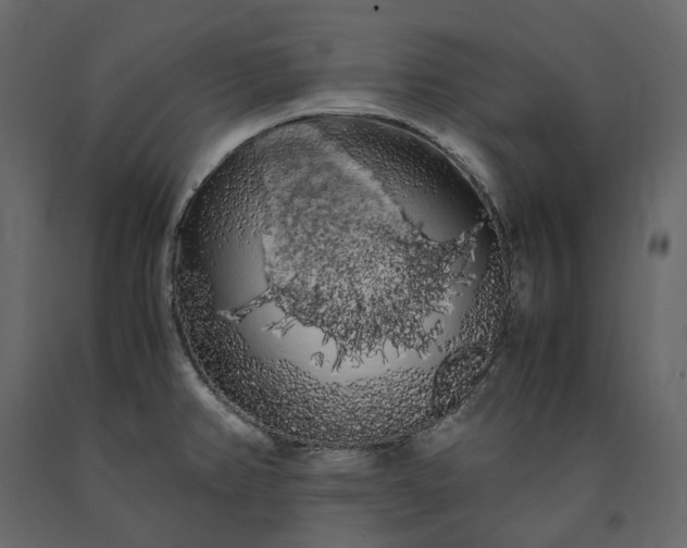 X0000091241382200708231707