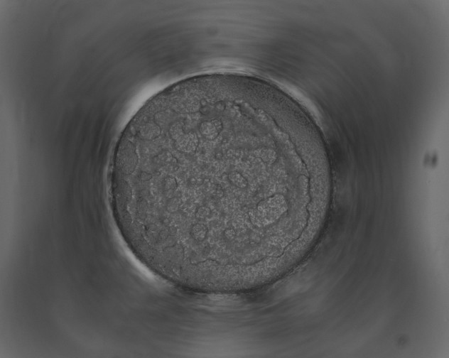 X0000091241383200708231707