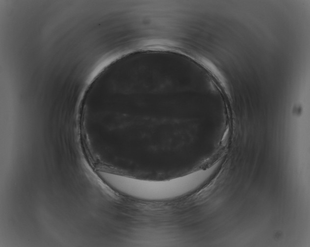 X0000091241384200708231707