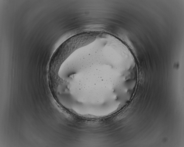 X0000091241386200708231707