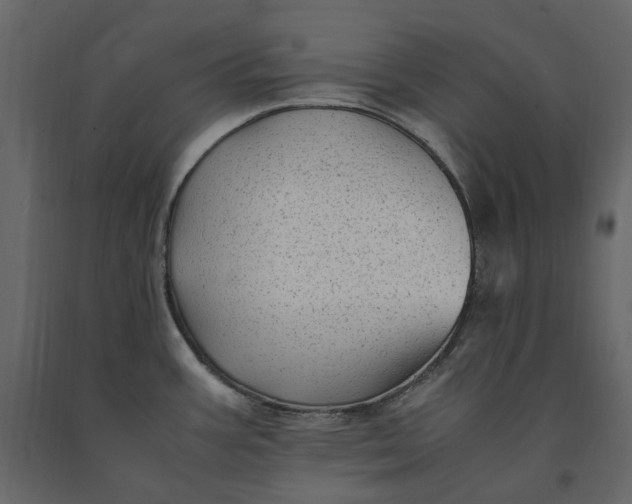 X0000091241387200708231707