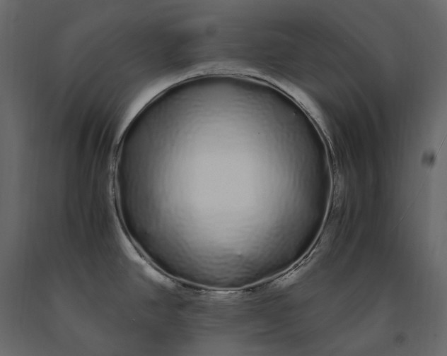 X0000091241390200708231707
