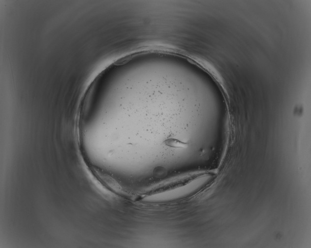 X0000091241391200708231707