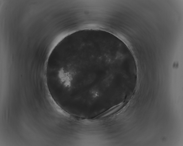 X0000091241392200708231707