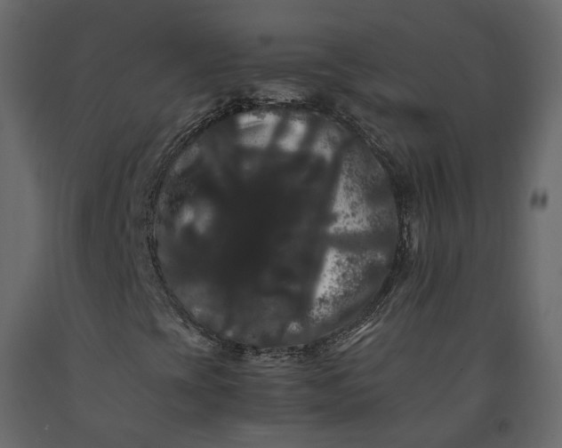 X0000091241393200708231706