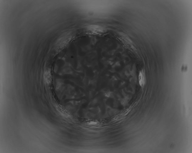X0000091241395200708231706