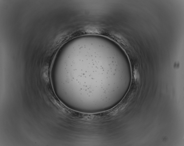 X0000091241396200708231706