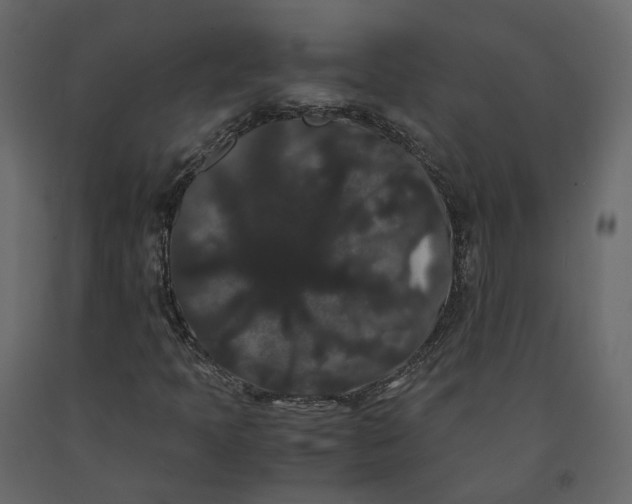 X0000091241397200708231706