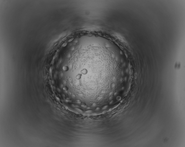X0000091241398200708231706