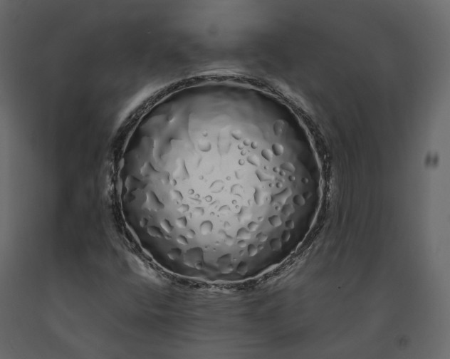 X0000091241400200708231706