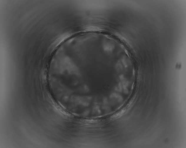 X0000091241401200708231706