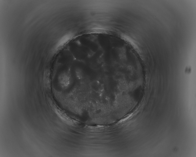 X0000091241403200708231706