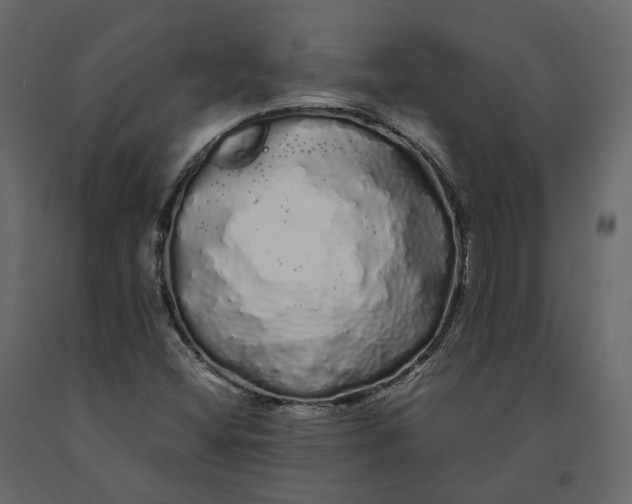 X0000091241404200708231707