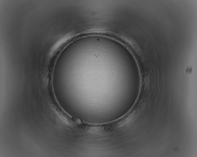 X0000091241406200708231707