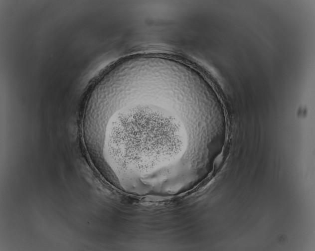 X0000091241407200708231707