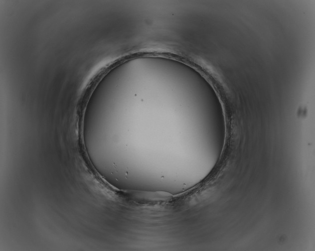 X0000091241408200708231707