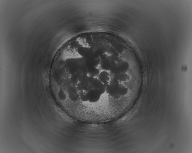 X0000091241409200708231707