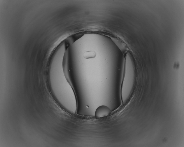 X0000091241410200708231707