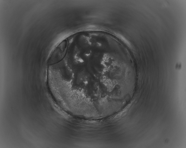 X0000091241413200708231707