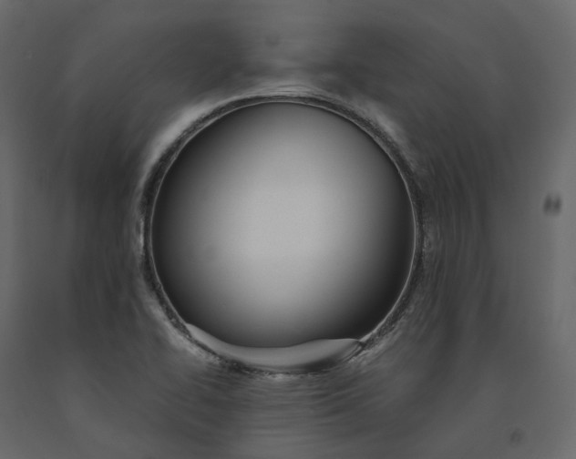 X0000091241414200708231707