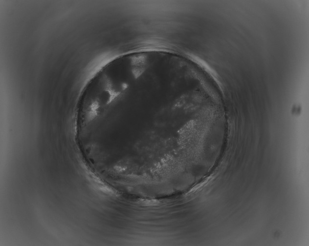 X0000091241415200708231707