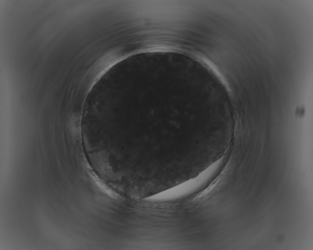 X0000091241417200708231707