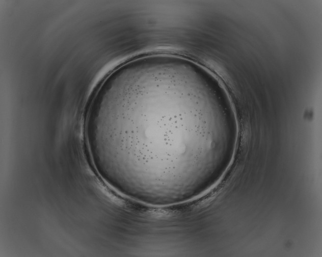 X0000091241420200708231707