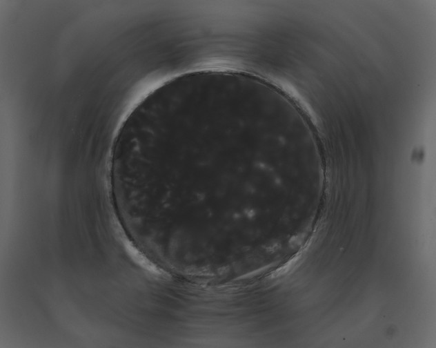 X0000091241421200708231707