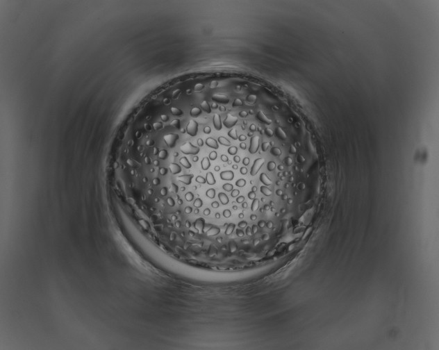 X0000091241422200708231707