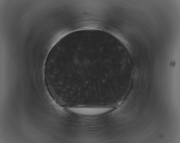 X0000091241423200708231707