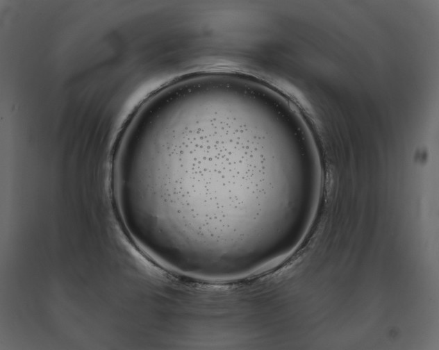 X0000091241424200708231707