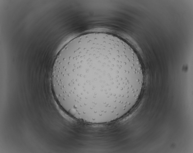 X0000091241425200708231707
