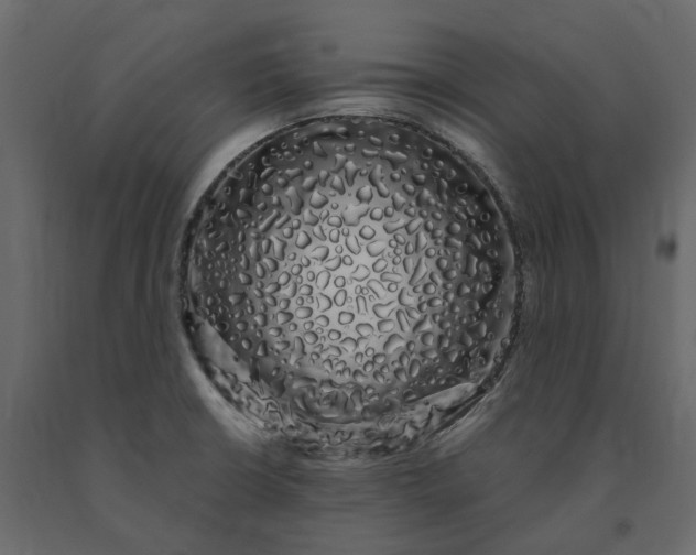 X0000091241426200708231707