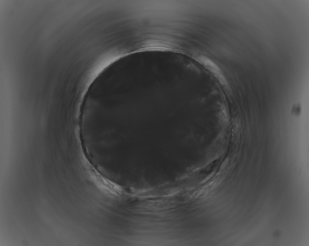 X0000091241427200708231707
