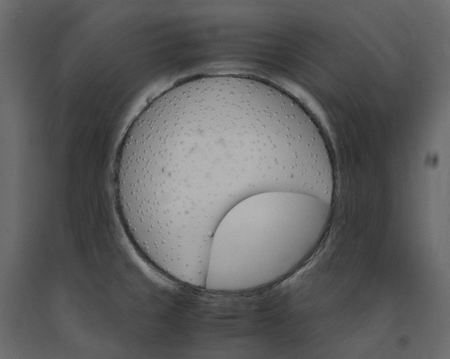 X0000091241429200708231707