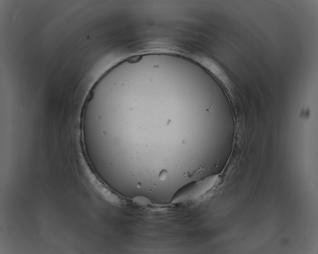 X0000091241431200708231707