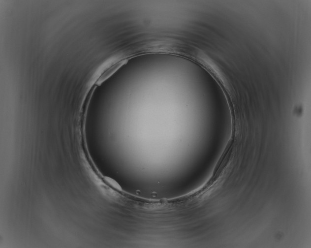 X0000091241434200708231707