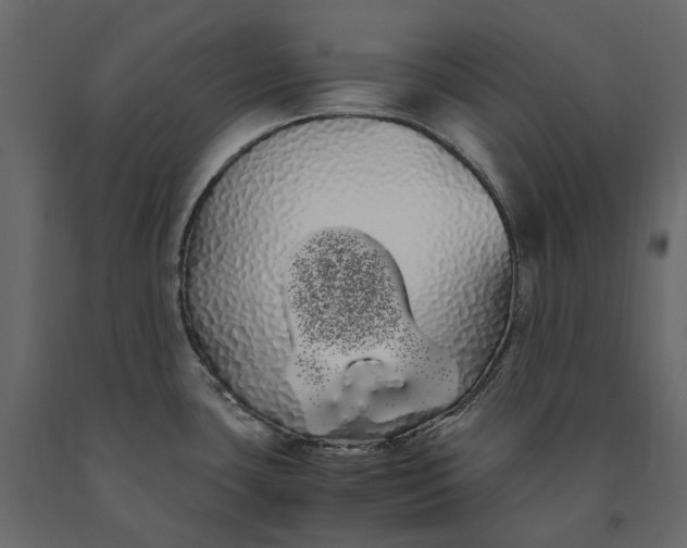 X0000091241435200708231707